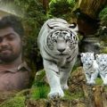 Jawahar        , Male 31  years old         Activity: May 11 