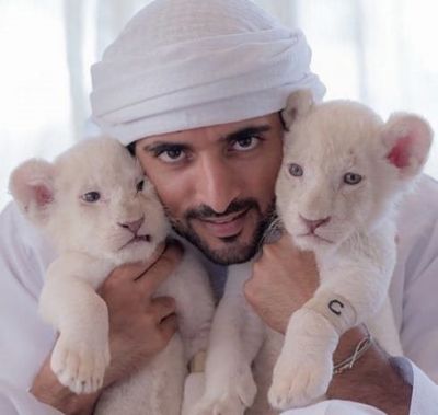 Prince sheikh Hamdan's photo